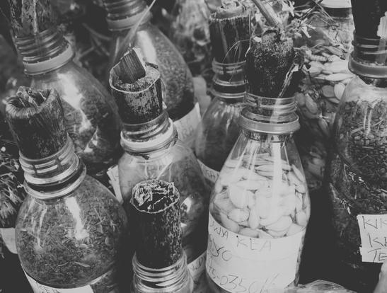 Planting Stories: Seeds of Diaspora
