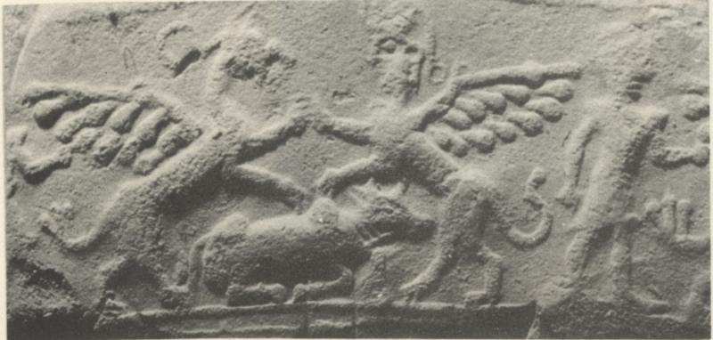 Image of hybrid animals