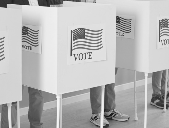 Renewing Democratic Participation