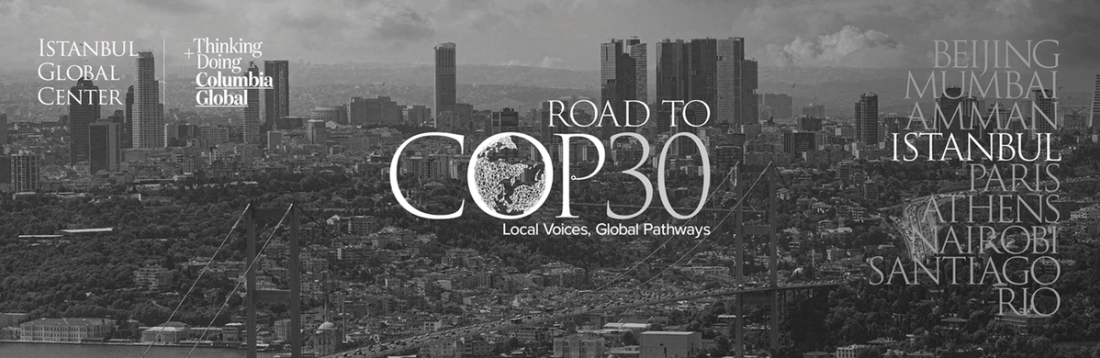 Road to COP 30 Istanbul