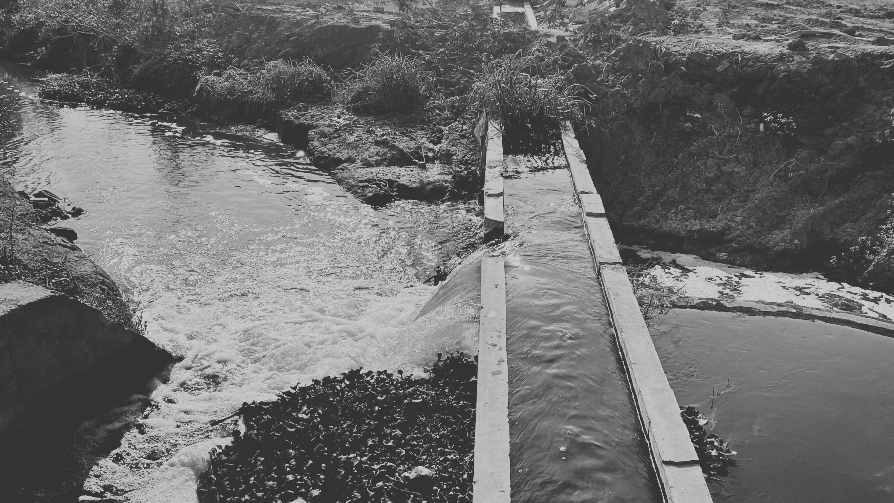 A Circular Economy Approach to Reviving Bengaluru’s Water Systems