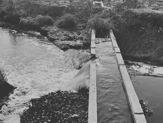 A Circular Economy Approach to Reviving Bengaluru’s Water Systems