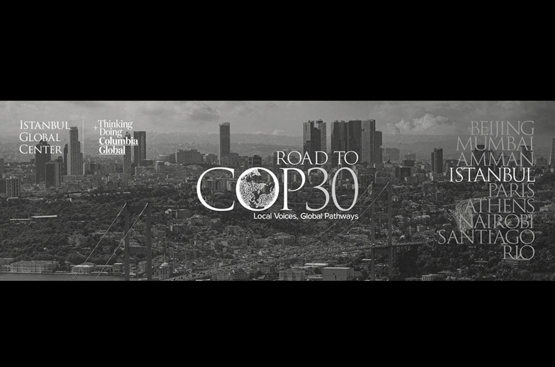 Road to COP 30 Istanbul
