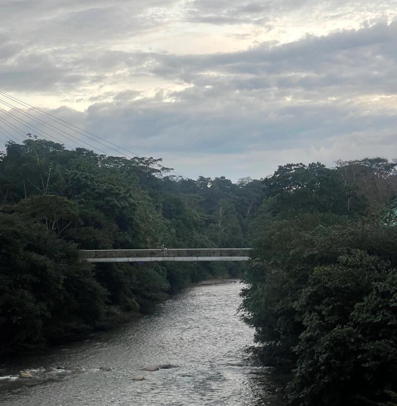 Amazon rainforest, Rio Tena, Ecuador.