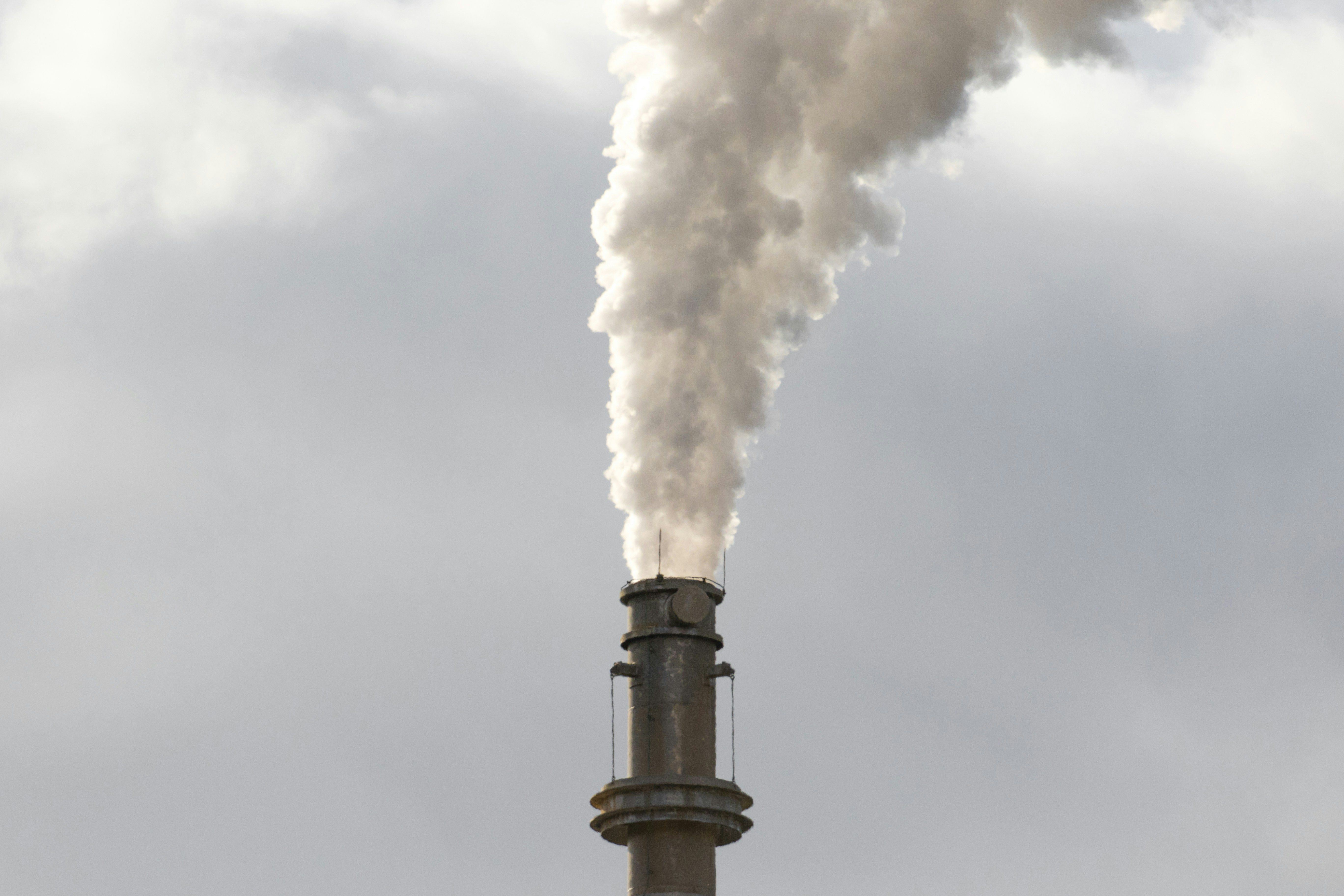 Global Perspectives on the Carbon Markets