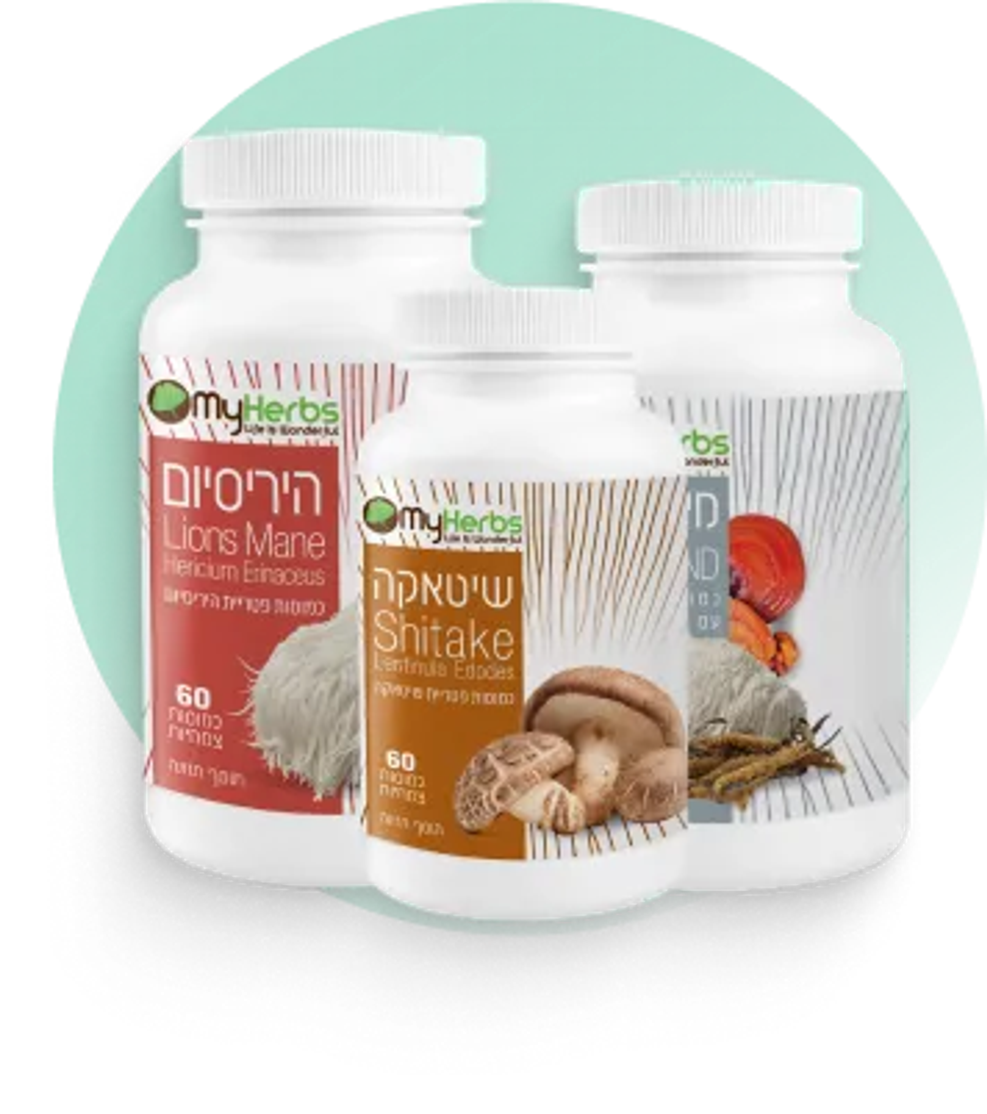 מוצרי פטריות מרפא של דרורת