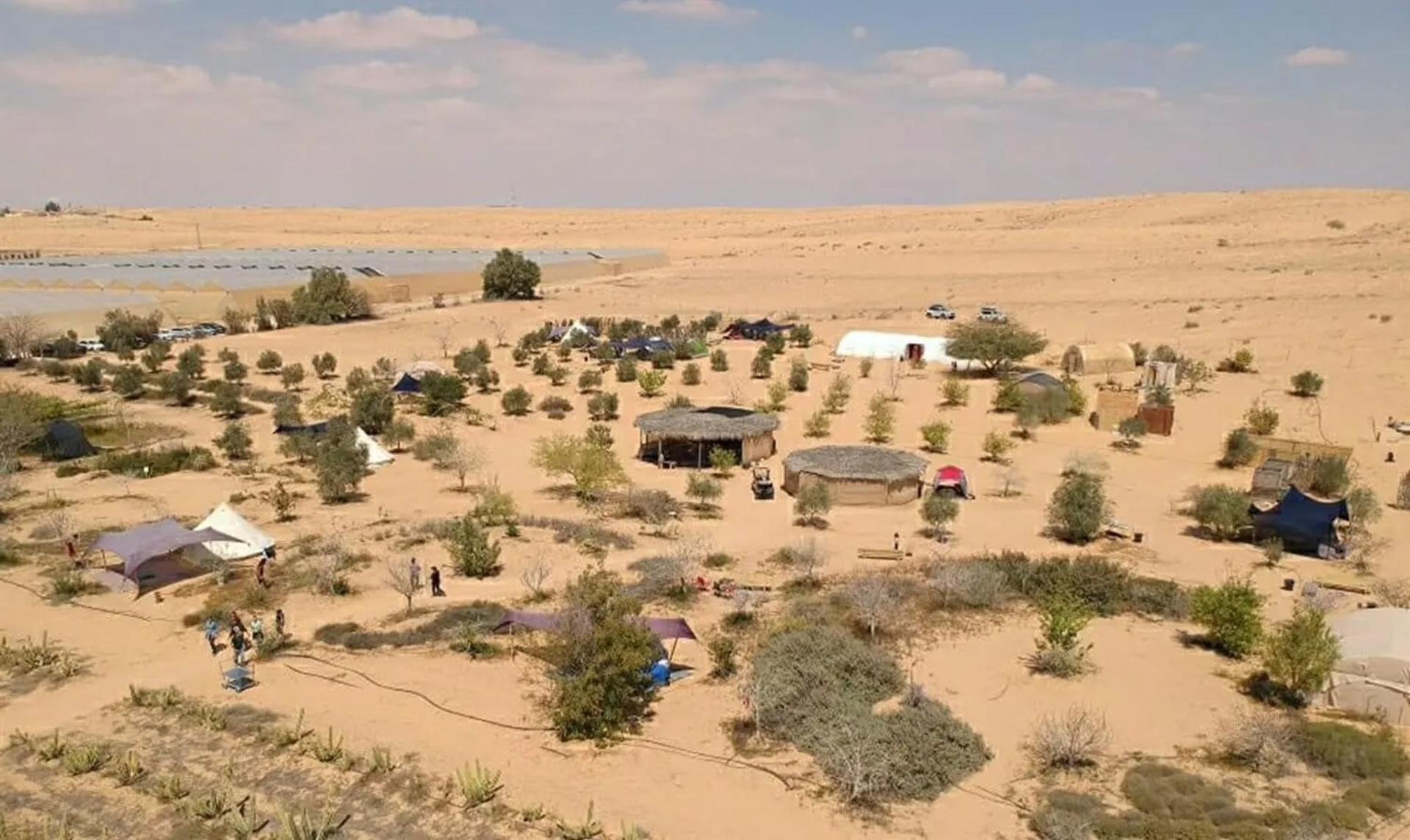 מבט על חוות שירת המדבר