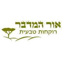 אור המדבר - לוגו