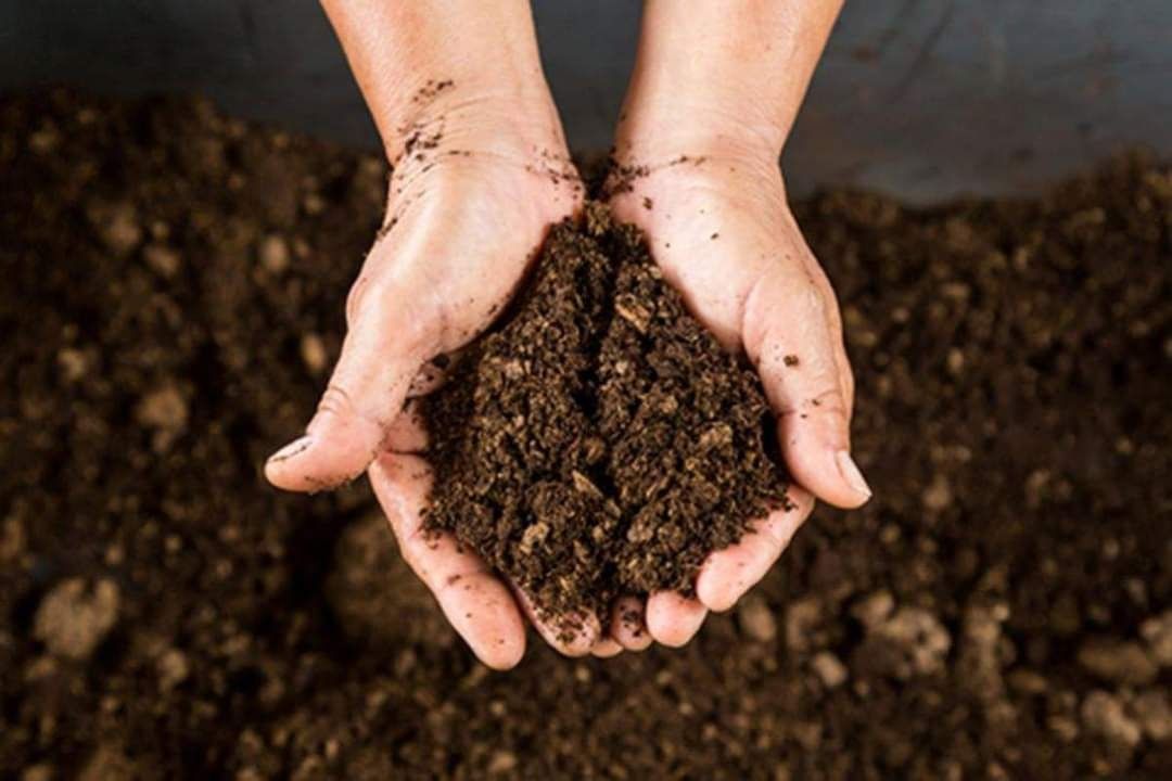 Revitalizing Land with Premium Compost Solutions