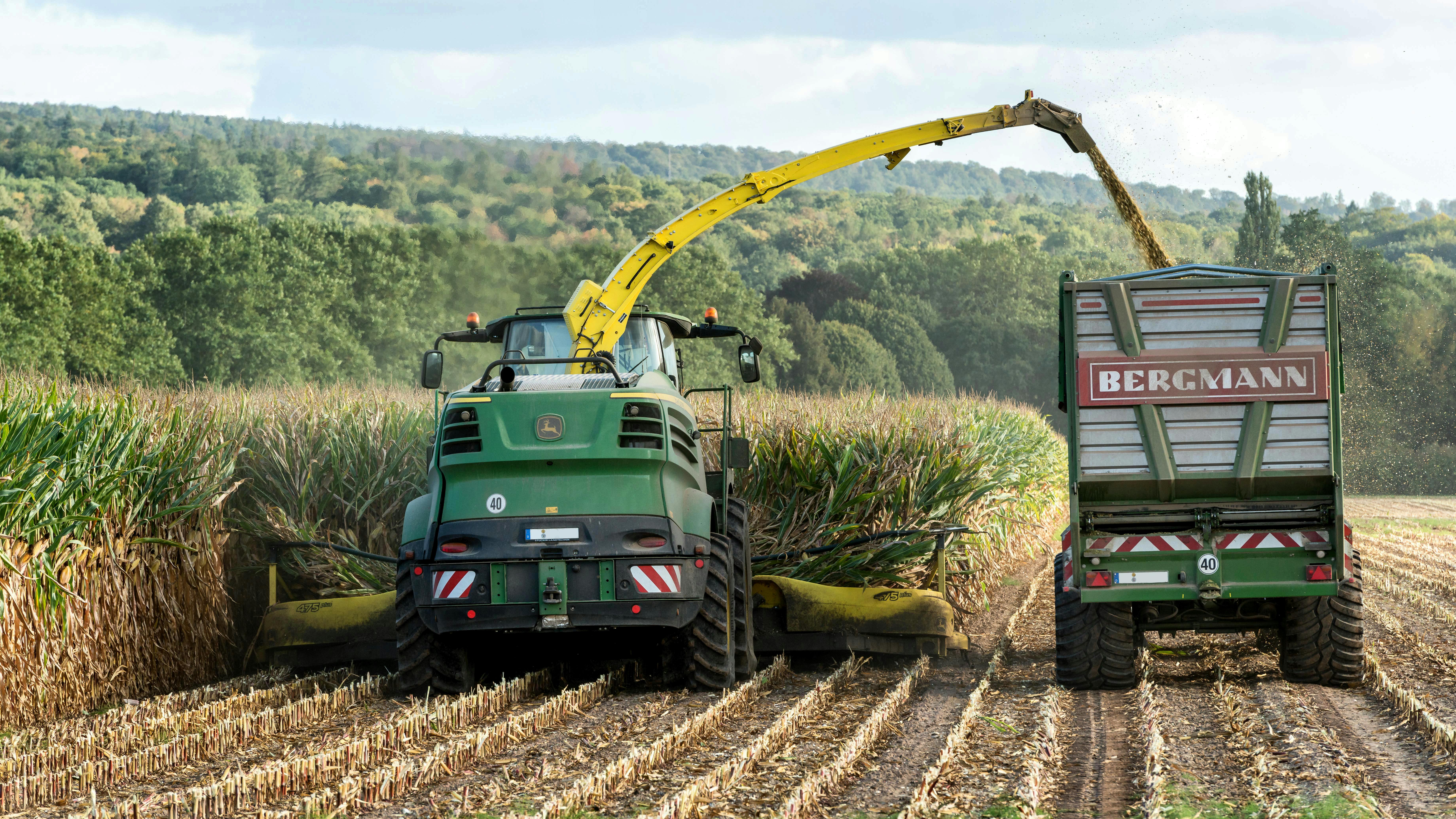 Corn harvesting