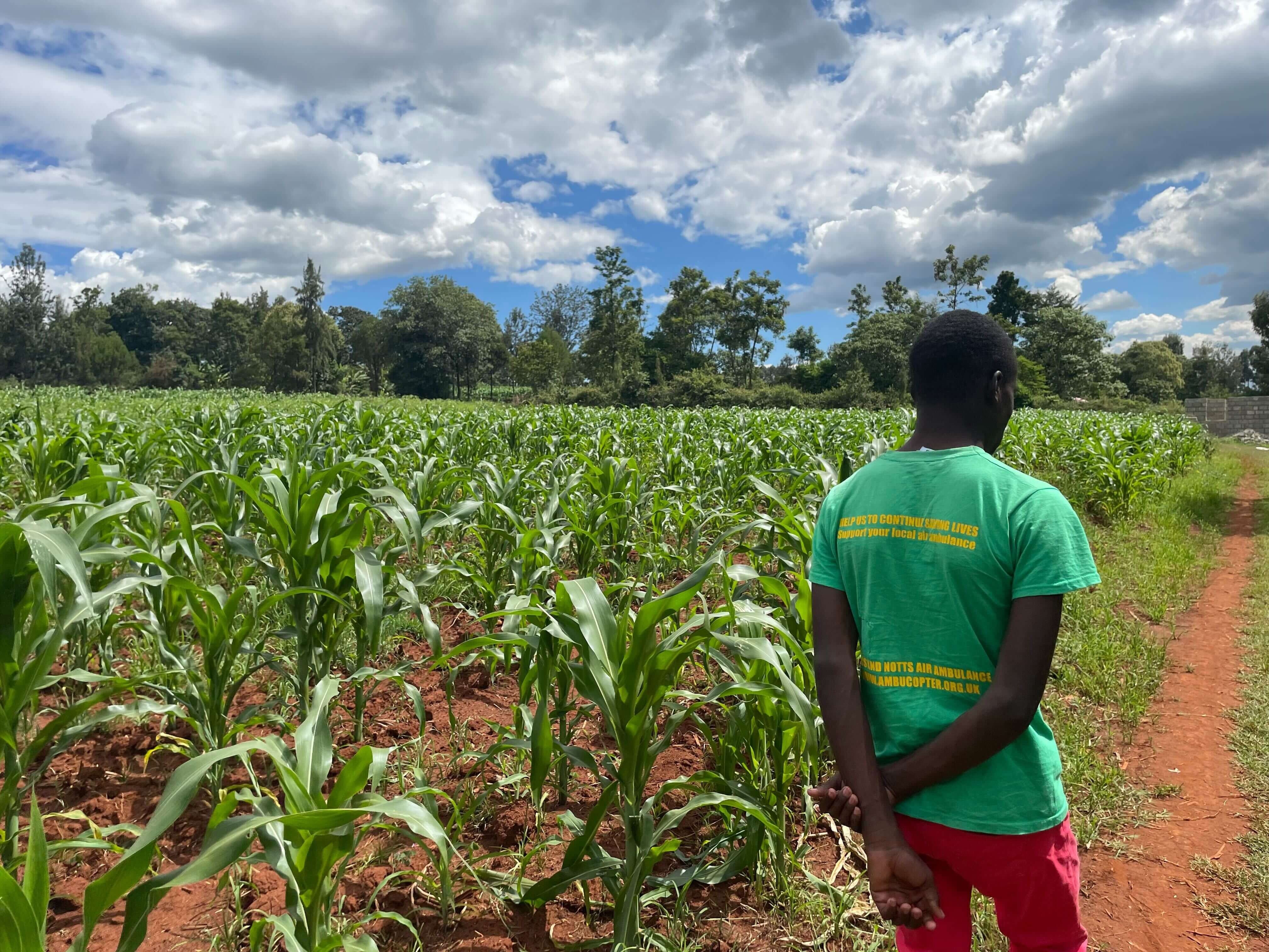 Steps to Building Carbon-Rich Agricultural Soils