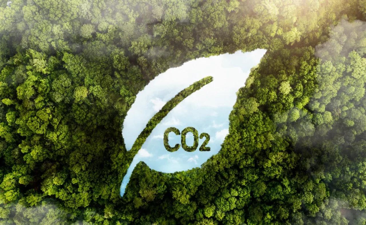 Cultivating a Greener Future with Carbon Cycling