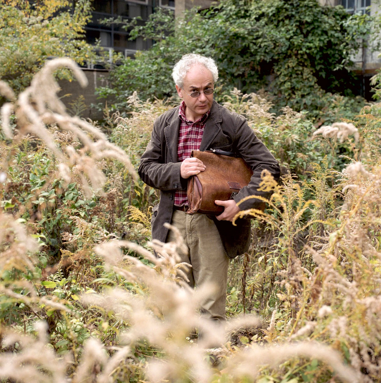 Tom Pauls, Kabarettist