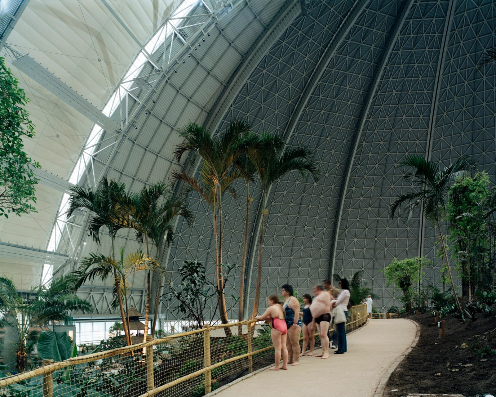 Tropical Island