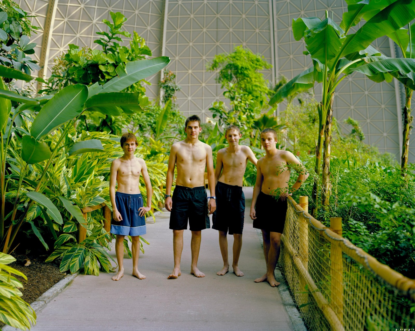 Tropical Island