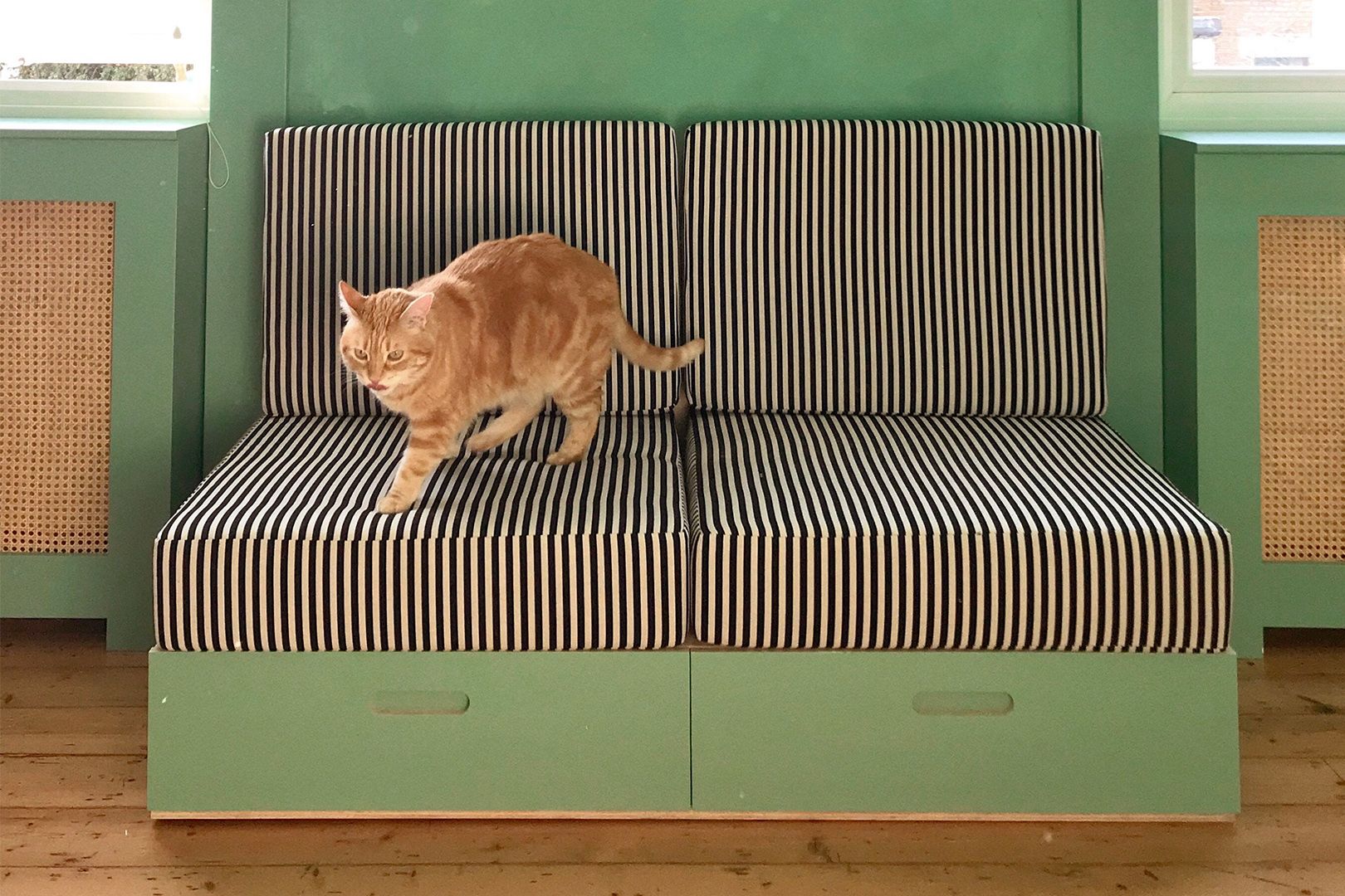 Vishnia’s Sofa