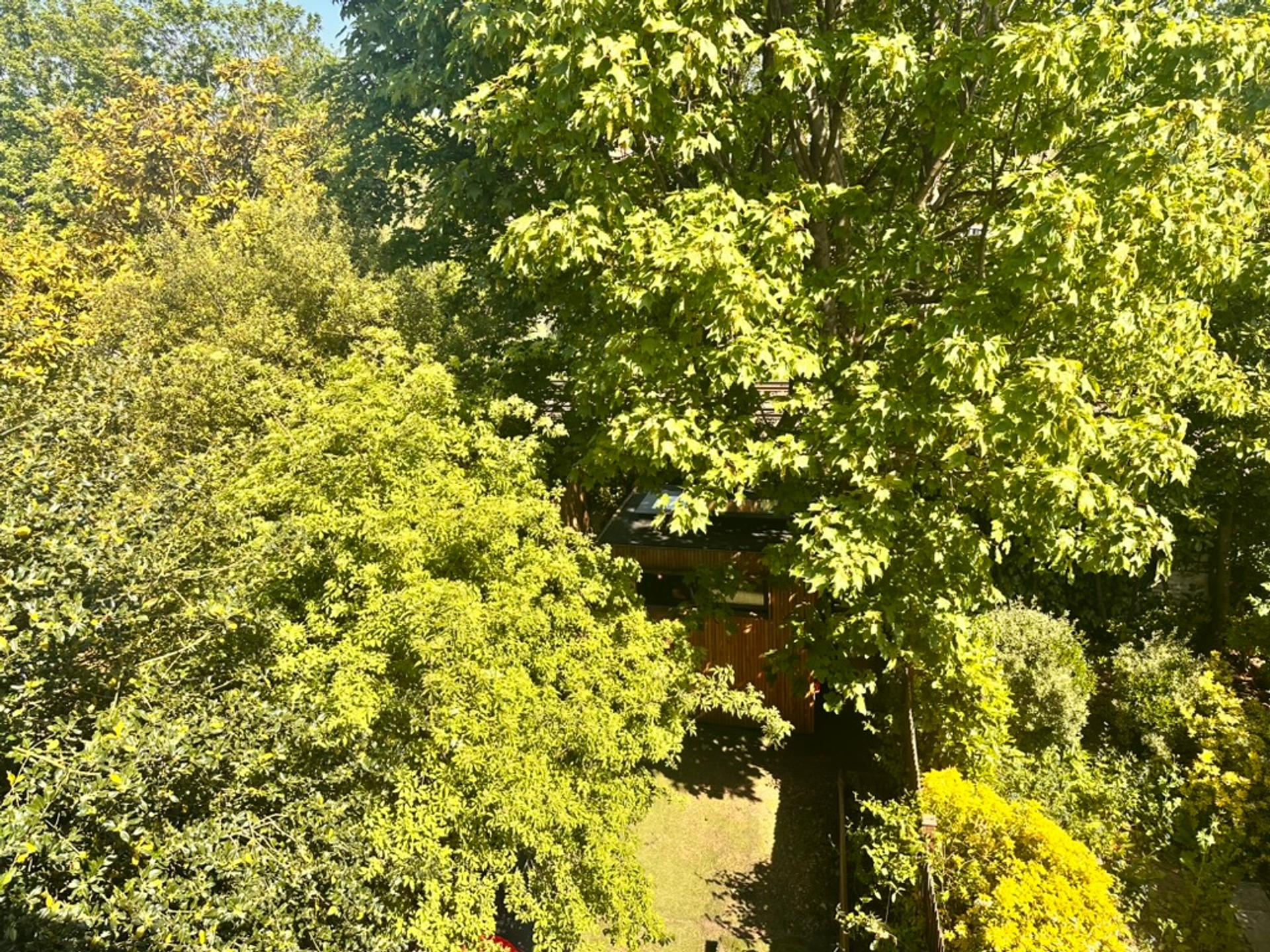 Sinead & Manny's Treehouse Pod, 2026.