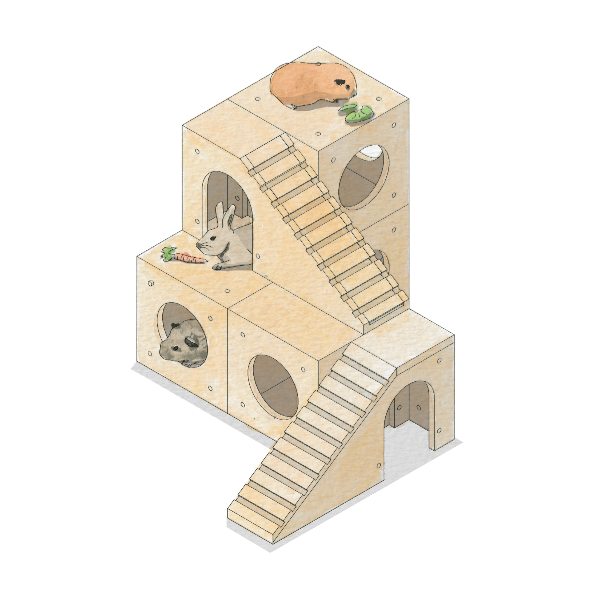 Three rabbits explore a modular, wooden indoor play structure with ramps, circular windows, and fresh carrots and greens on different levels—crafted from sustainable materials for endless fun.