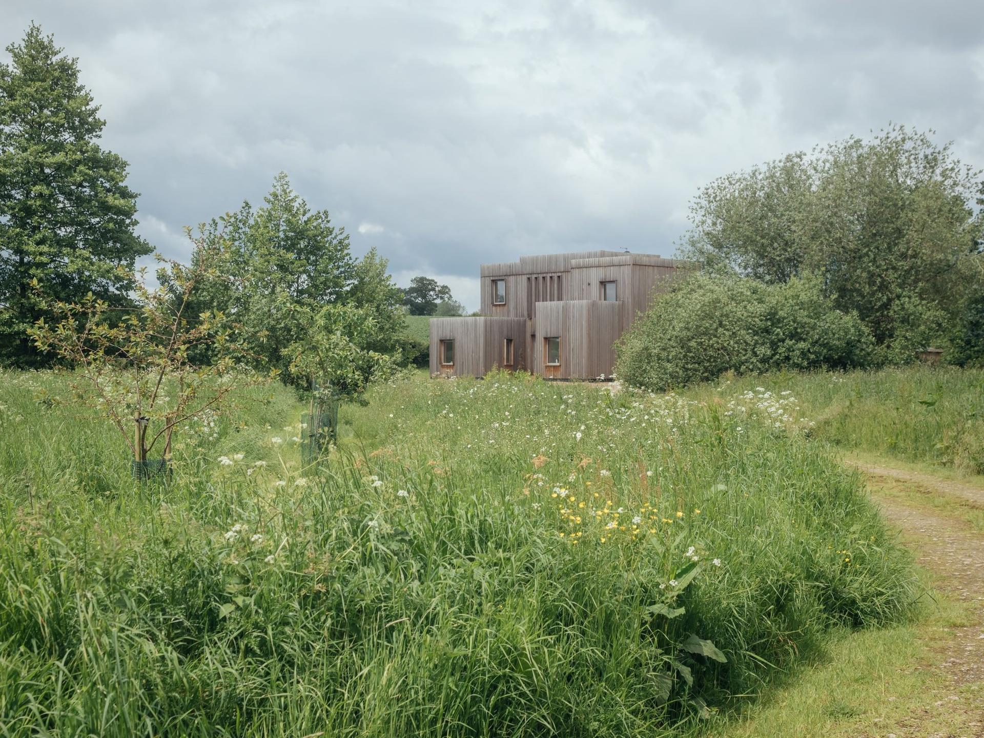 A modern, boxy wooden house built with a U-Build system sits surrounded by tall grass, wildflowers, and trees under a cloudy sky, with a dirt path leading towards the building.