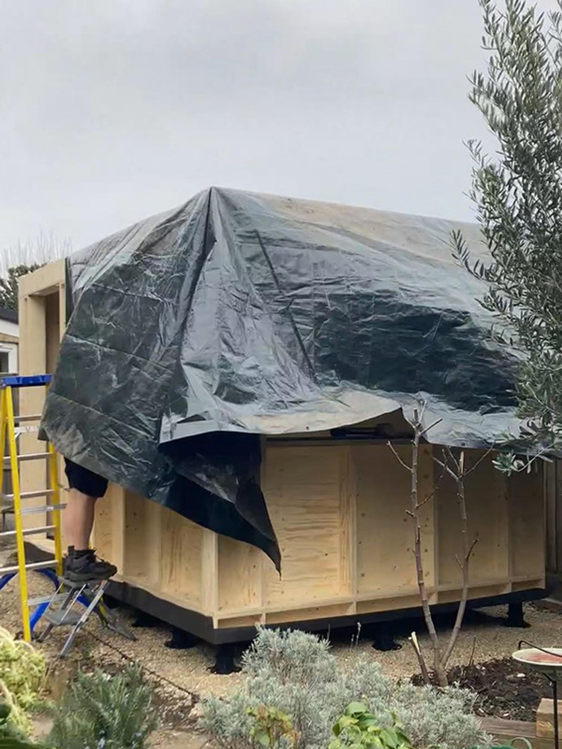 A partially constructed modular wooden shed, made of spruce and plywood, is covered with a large black tarpaulin. A person on a blue ladder works at one corner, with trees and plants visible around the structure on a cloudy day.