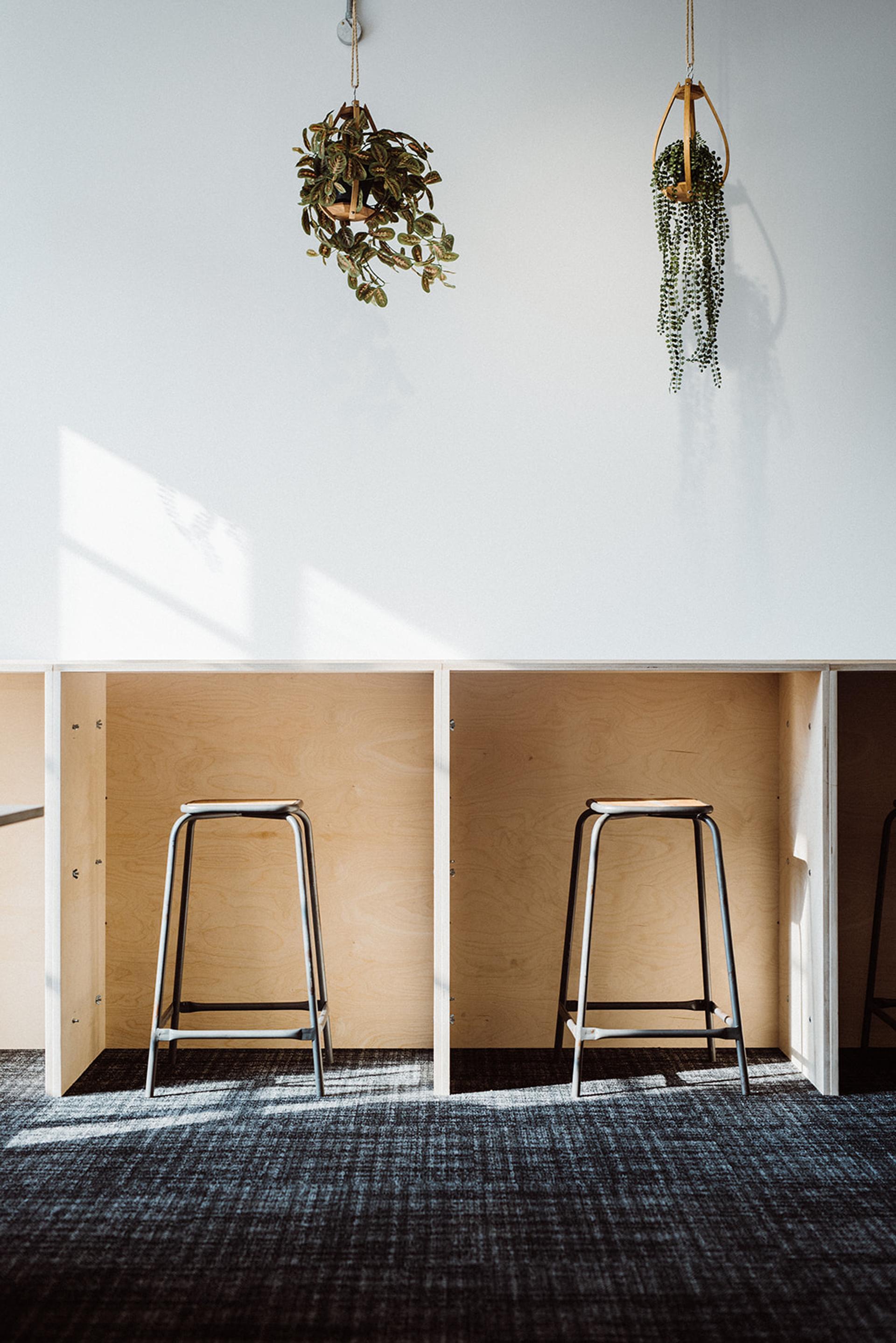 Two empty metal stools are positioned under a light birch plywood counter with dividers, beneath a blank white wall decorated with two hanging potted plants. Sunlight casts sustainable shadows across the scene.