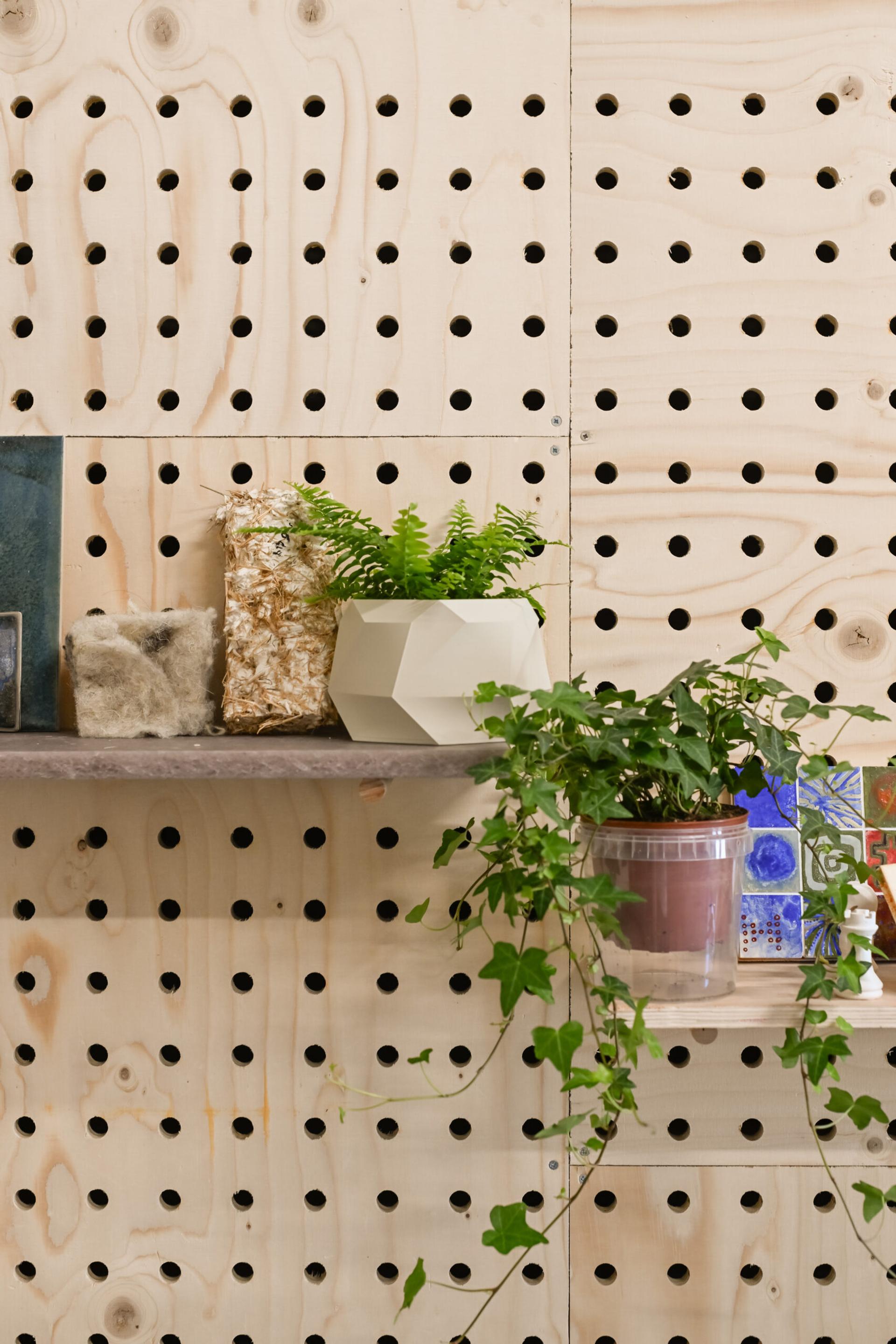 A wooden pegboard wall from Dekiln Workshop with two shelves holds potted plants, a decorative stone, and small items. One plant has trailing vines, and another is in a geometric white pot with fern-like leaves.