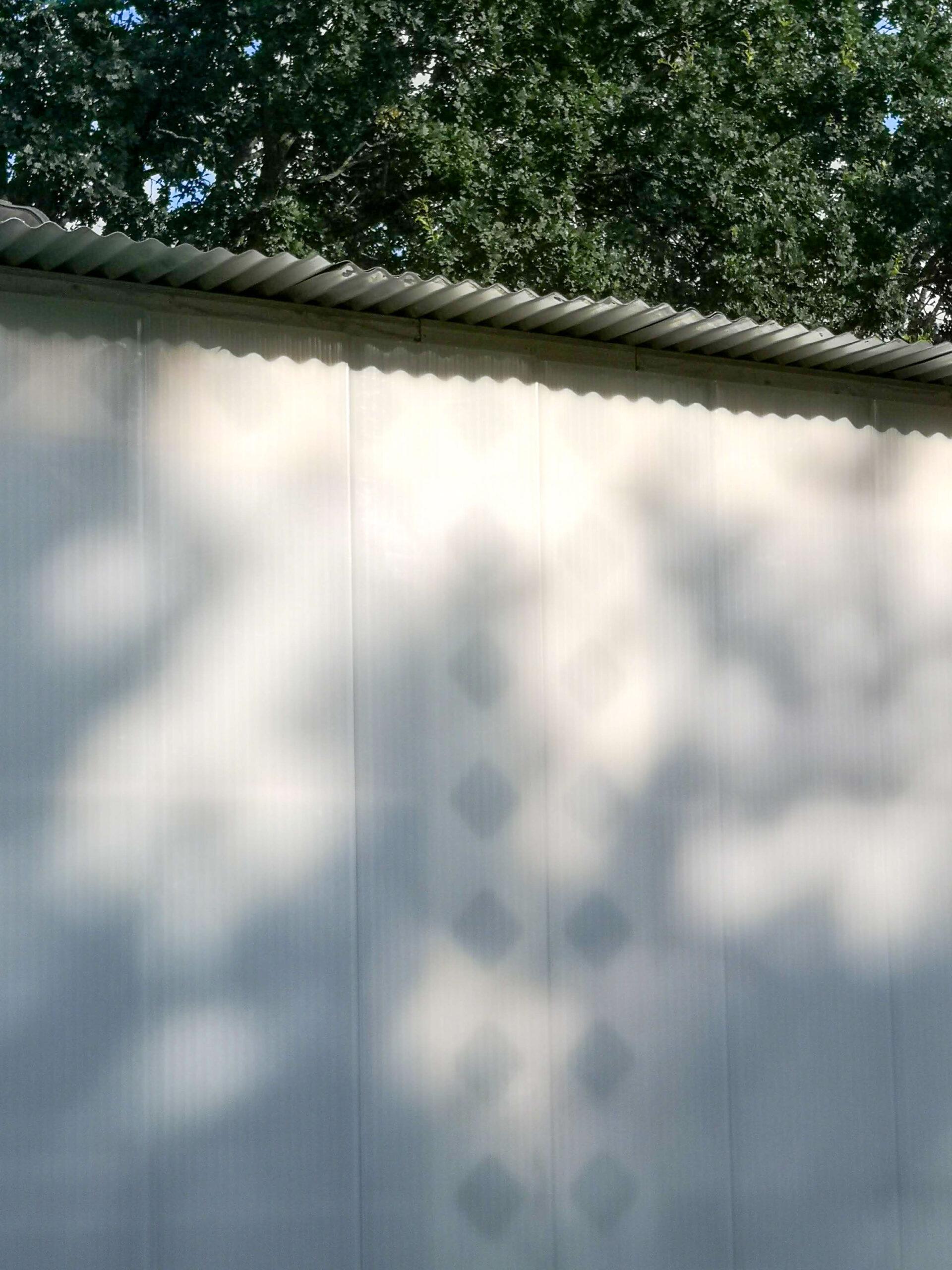 Sunlight filters through birch tree leaves, casting dappled shadows on a light-coloured wall beneath a modular corrugated metal roof, with a pattern of diamond-shaped shadows visible in the centre.