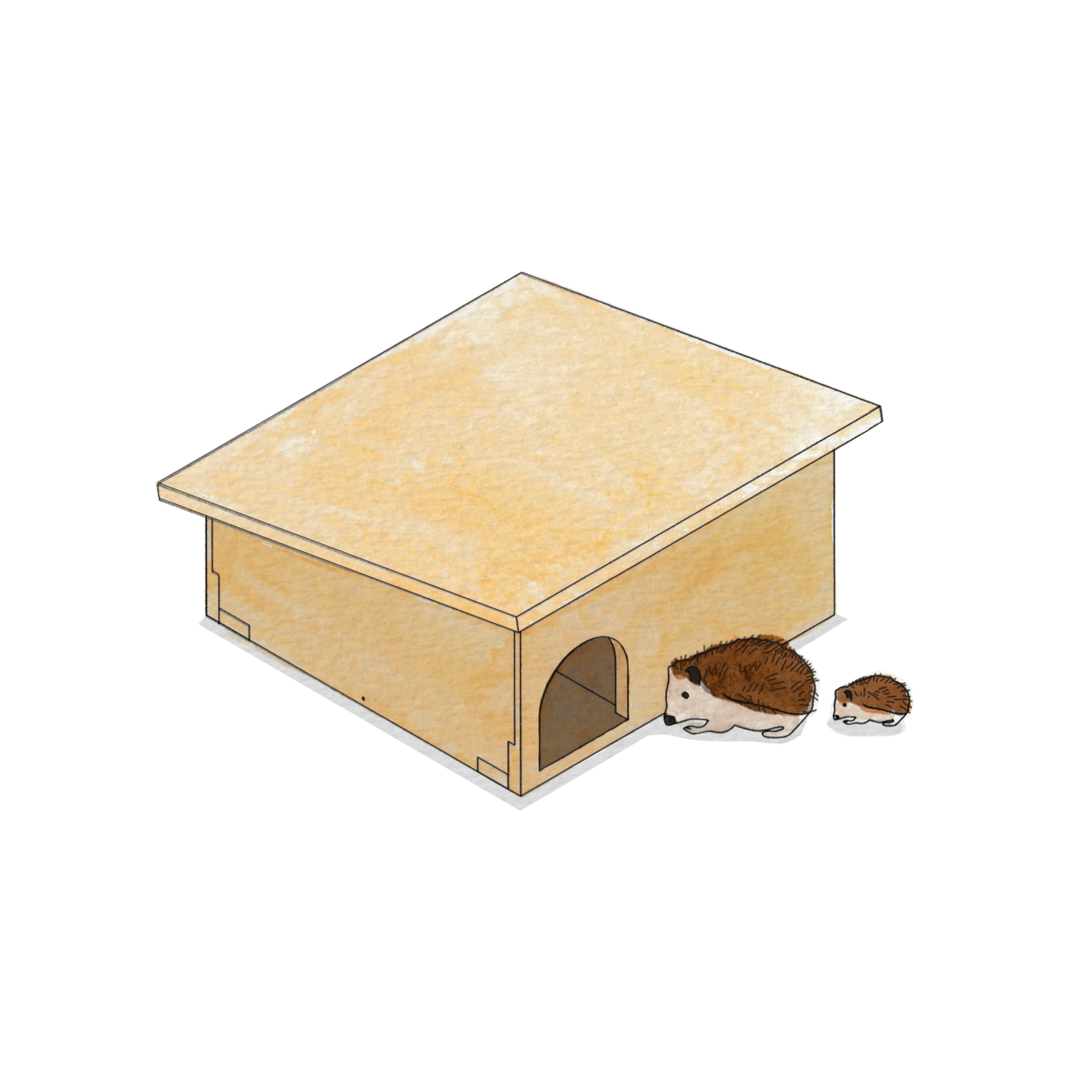 A large wooden hedgehog house crafted with quality birch plywood and a slanted roof sits on a white background. An adult hedgehog and a baby hedgehog are next to the entrance of the house.