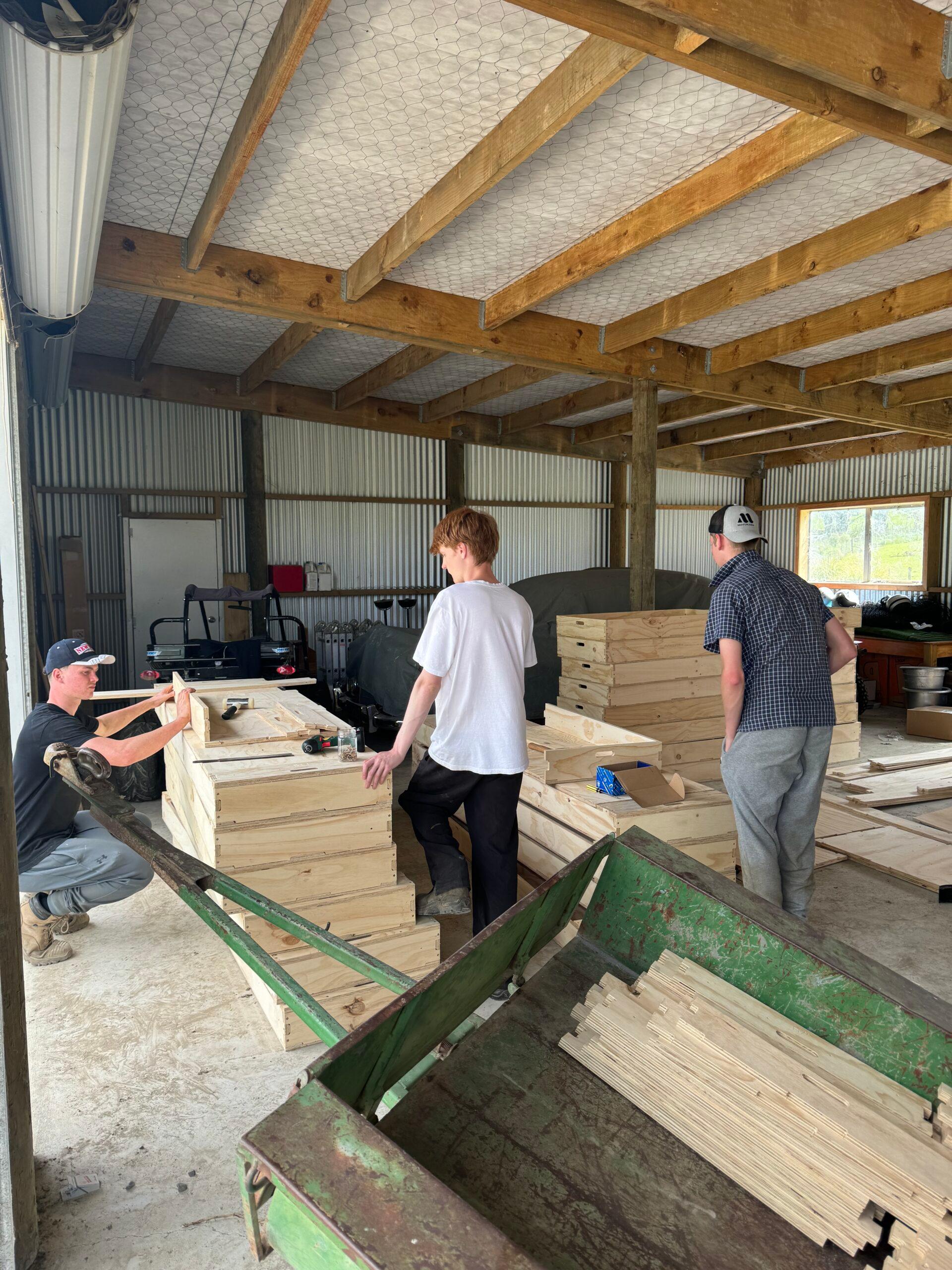 Three people work together in a large shed, assembling or sorting stacks of birch plywood. Tools and wood pieces are scattered on the workbench, and the shed has a high timber frame ceiling and corrugated metal walls.
