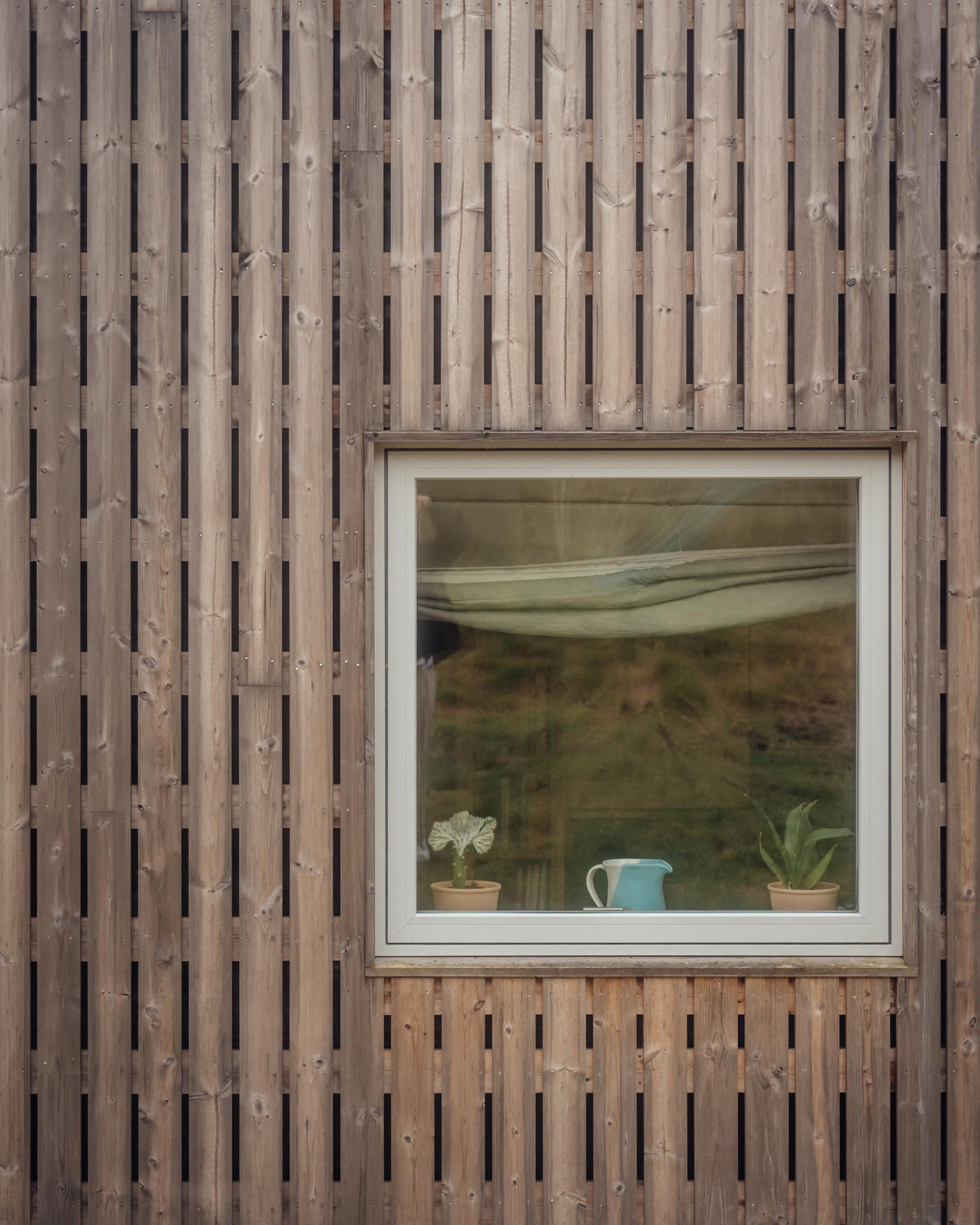 A small cactus, a blue jug, and a succulent sit on a windowsill built into a timber cladding wall.