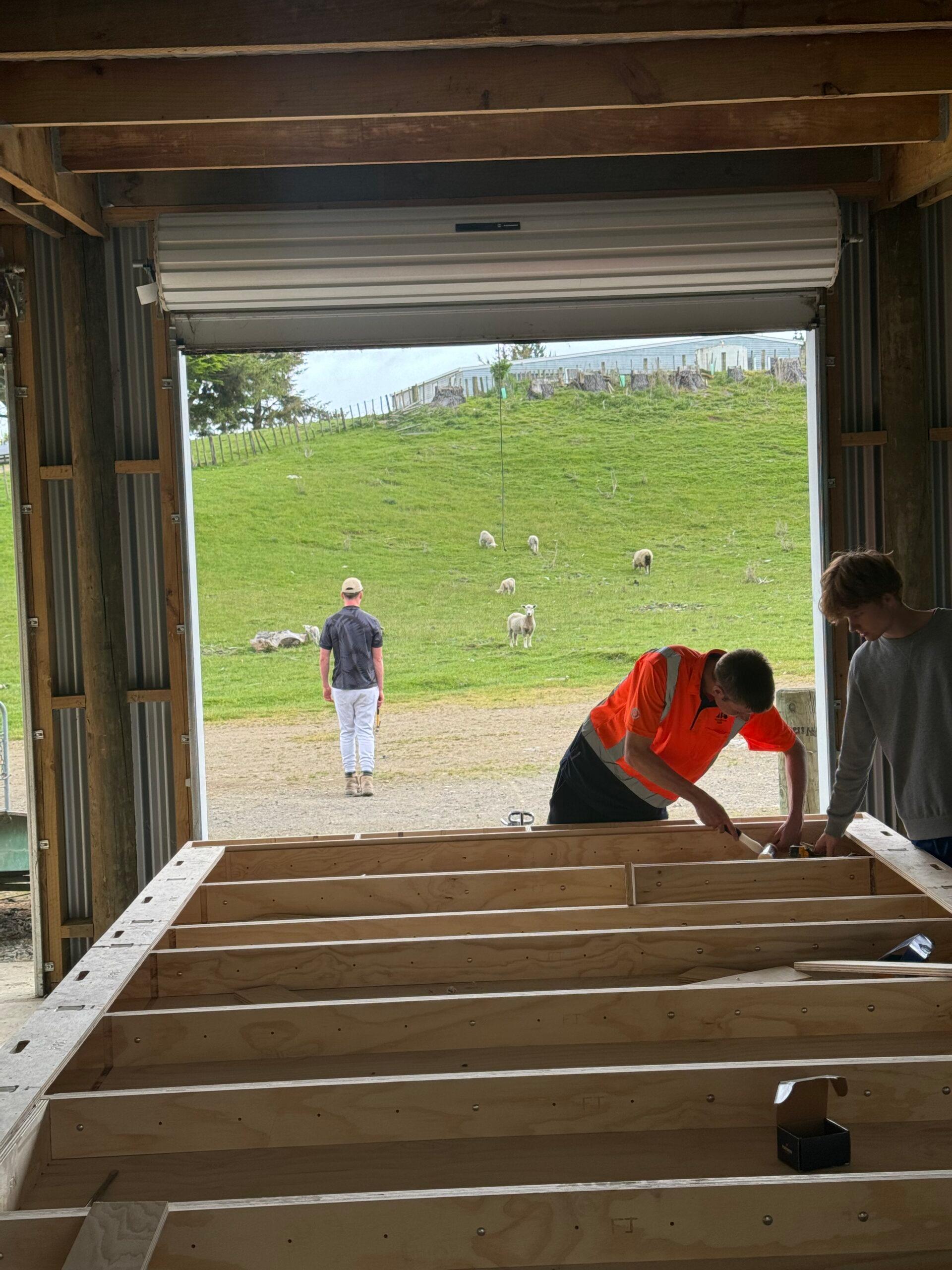 Two people work on a sustainable wooden frame of birch or spruce inside a barn, whilst someone approaches from outside. Sheep graze on a grassy hill in the background beneath a partly cloudy sky.
