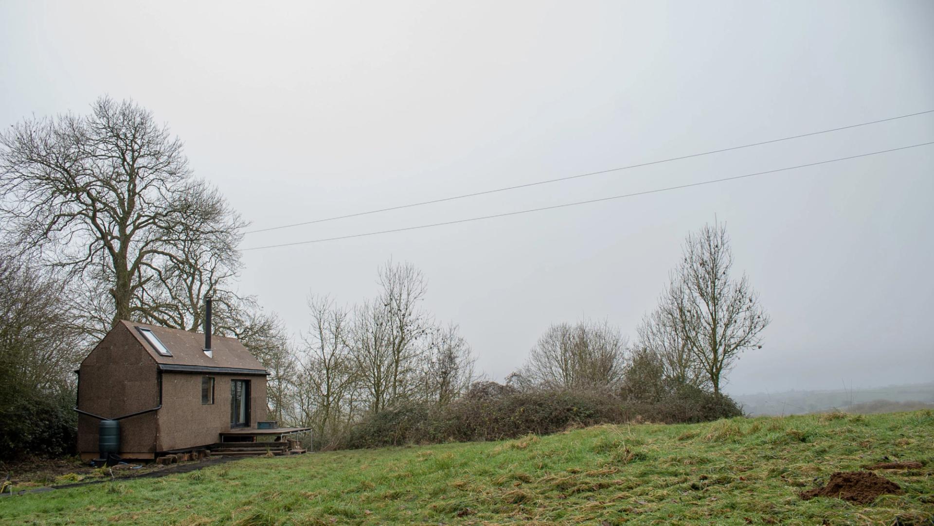 A small brown house with a sloping roof sits on the edge of a grassy field, surrounded by leafless birch trees under a grey, overcast sky. A water barrel is next to the house and power lines stretch across the scene.