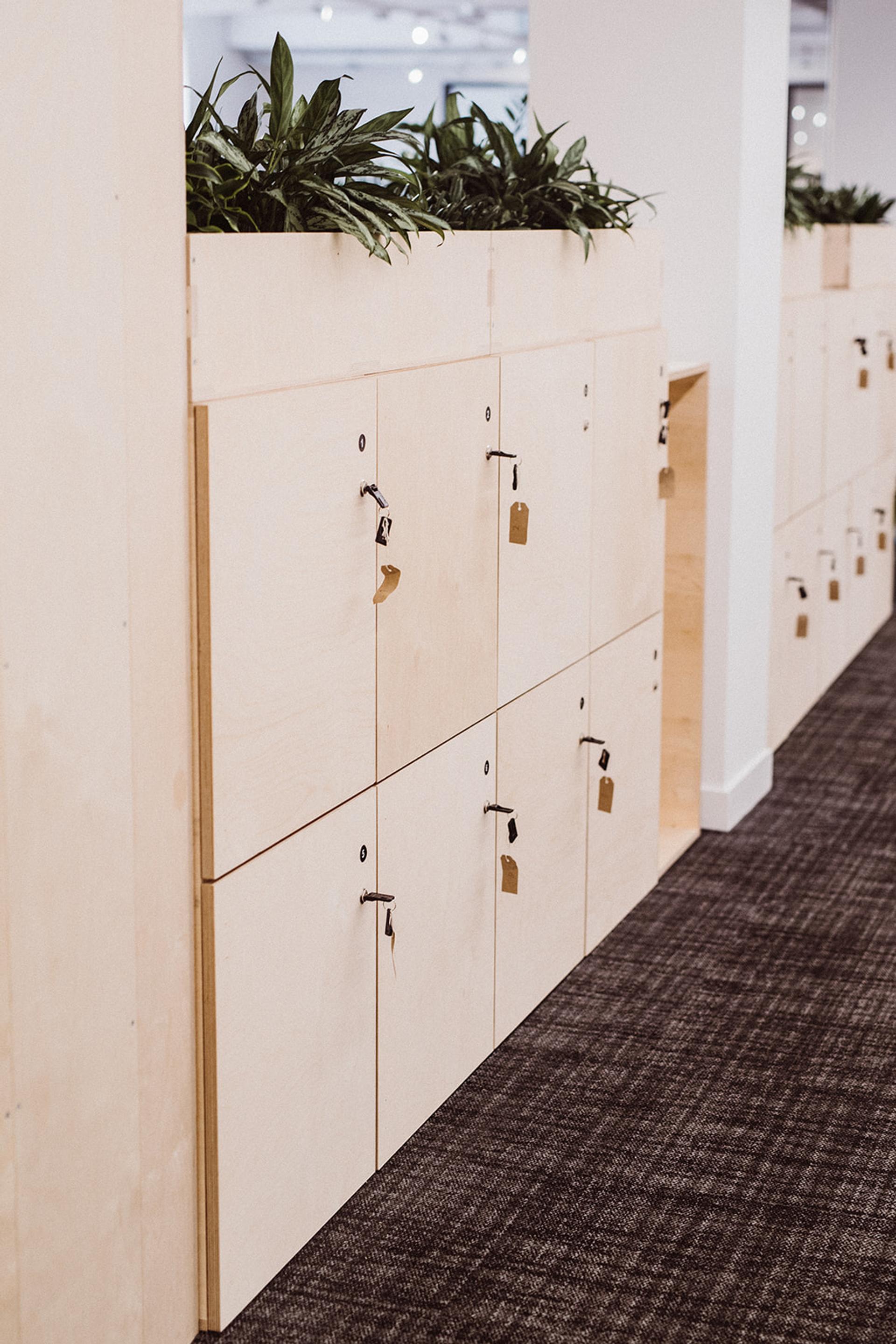 A row of modular birch lockers with padlocks, topped with green potted plants, lines a carpeted corridor in this modern indoor space.