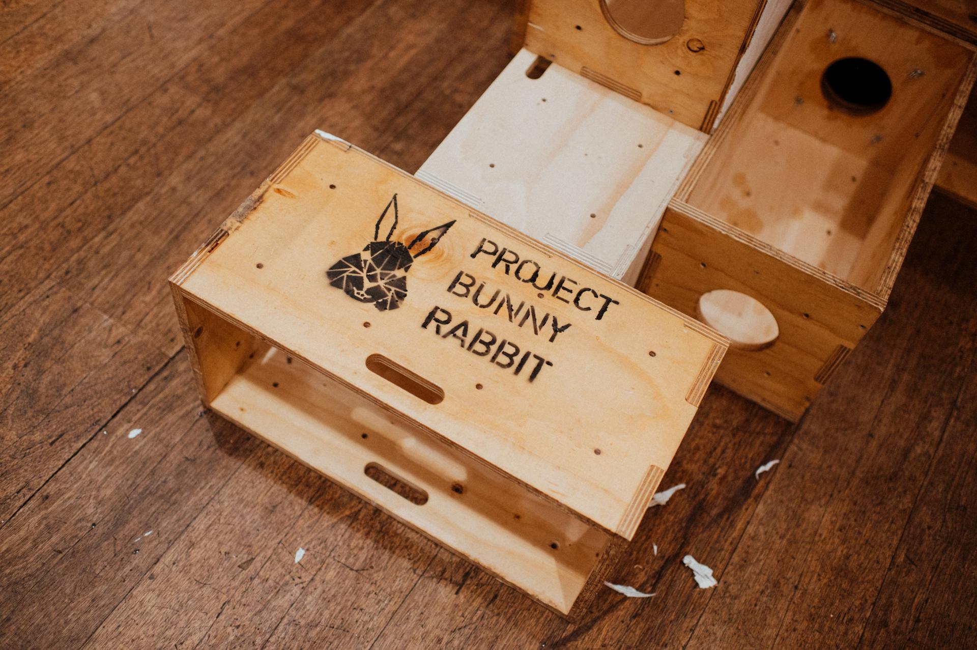 A birch wooden box with a geometric bunny design and the words PROJECT BUNNY RABBIT printed on it, sitting on a wooden floor among other sustainable wooden structures.