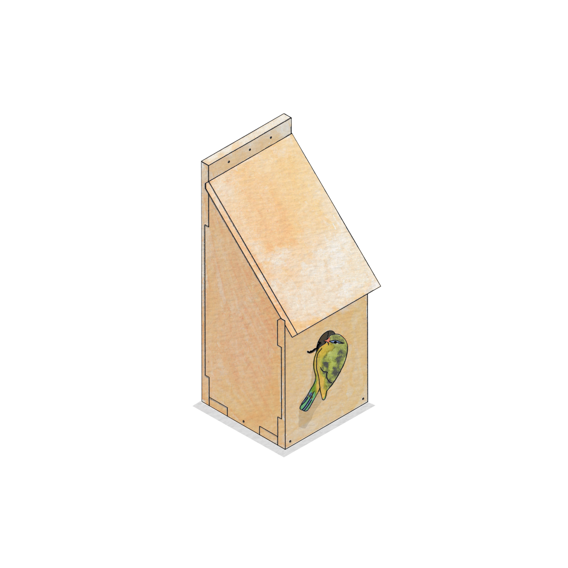 A simple wooden bird box crafted from sustainable birch plywood with a slanted roof, featuring a small round entrance hole. A colourful bird perches at the entrance, appearing to look inside. The background is plain white.