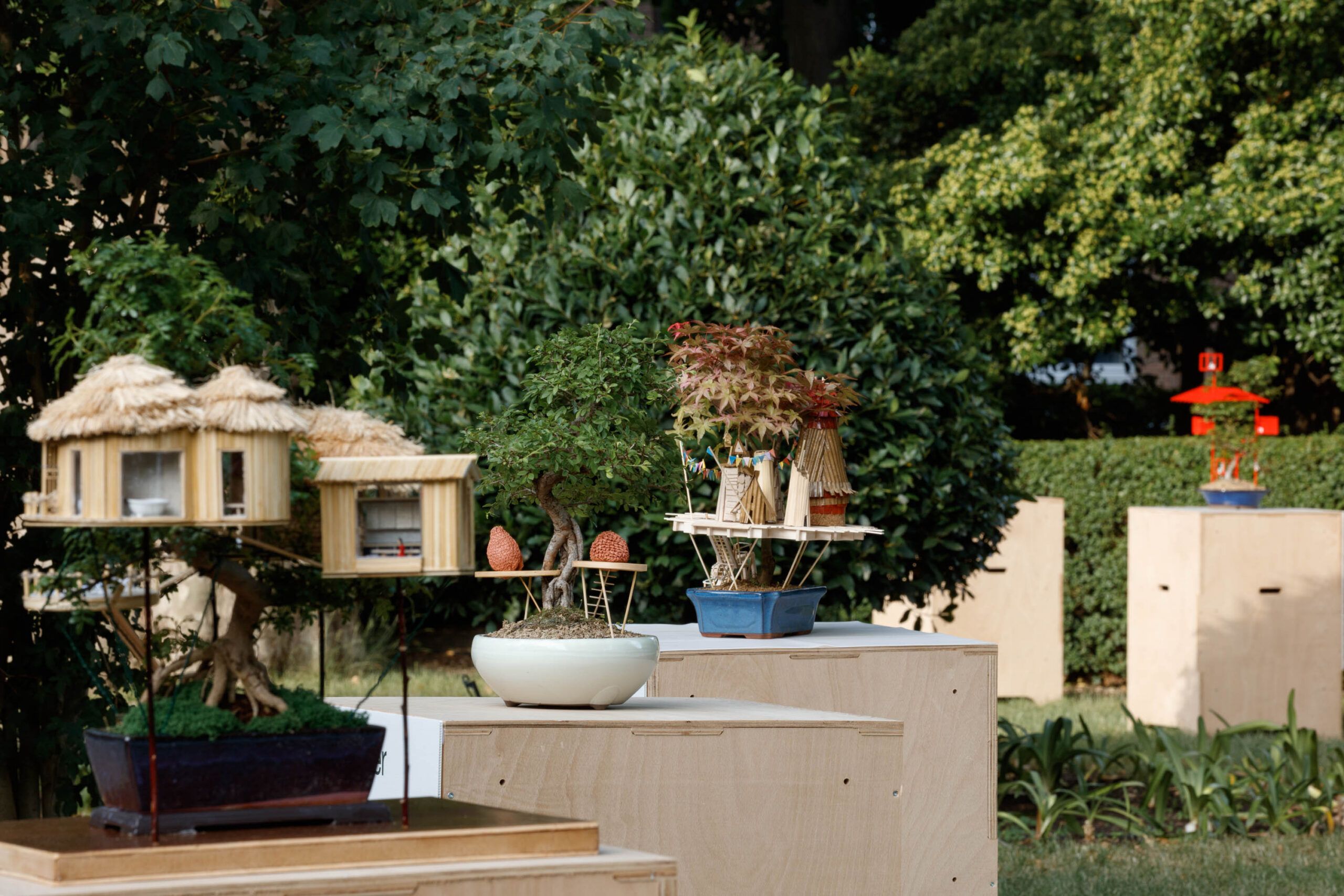 “Bonsai Treehouses” Exhibition