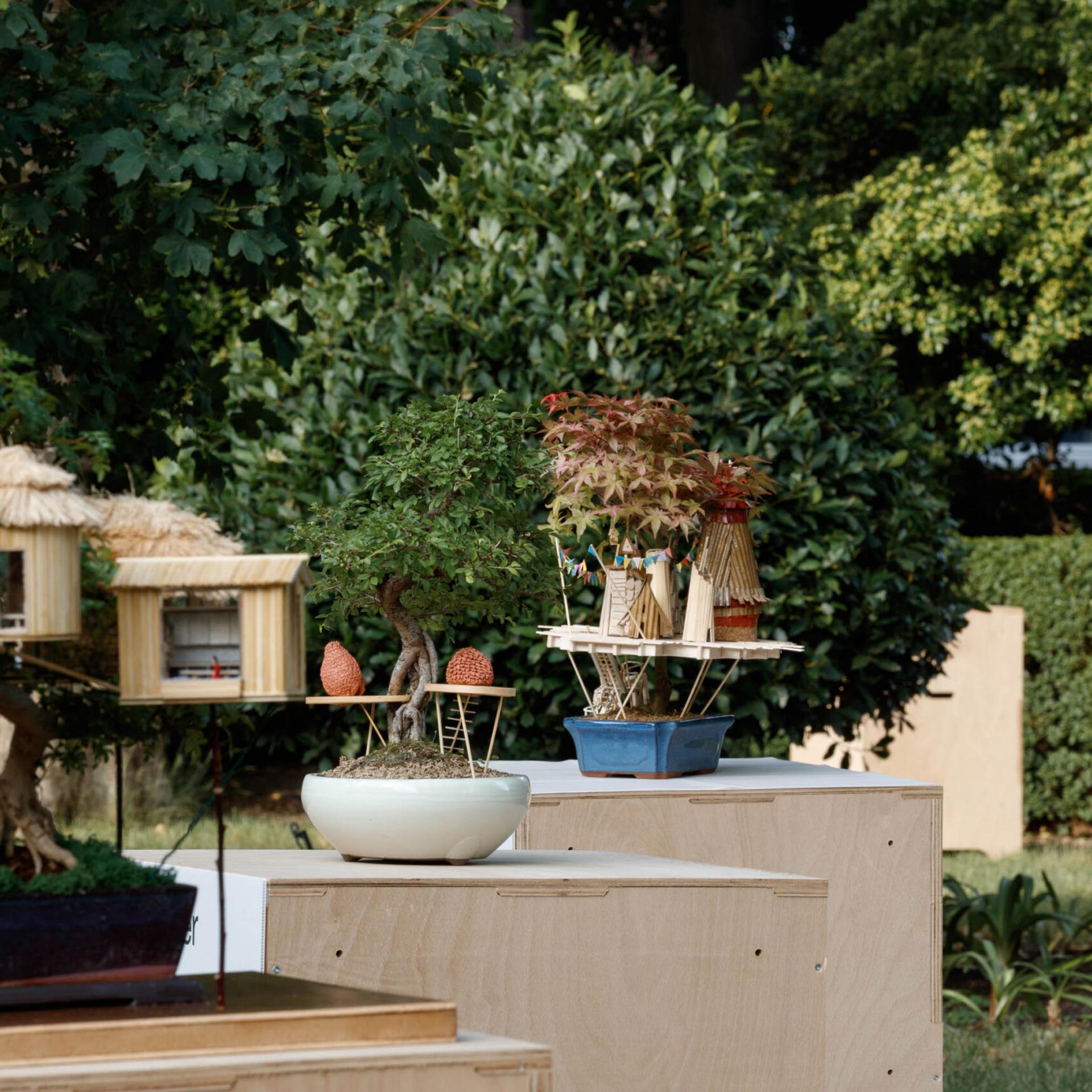 “Bonsai Treehouses” Exhibition