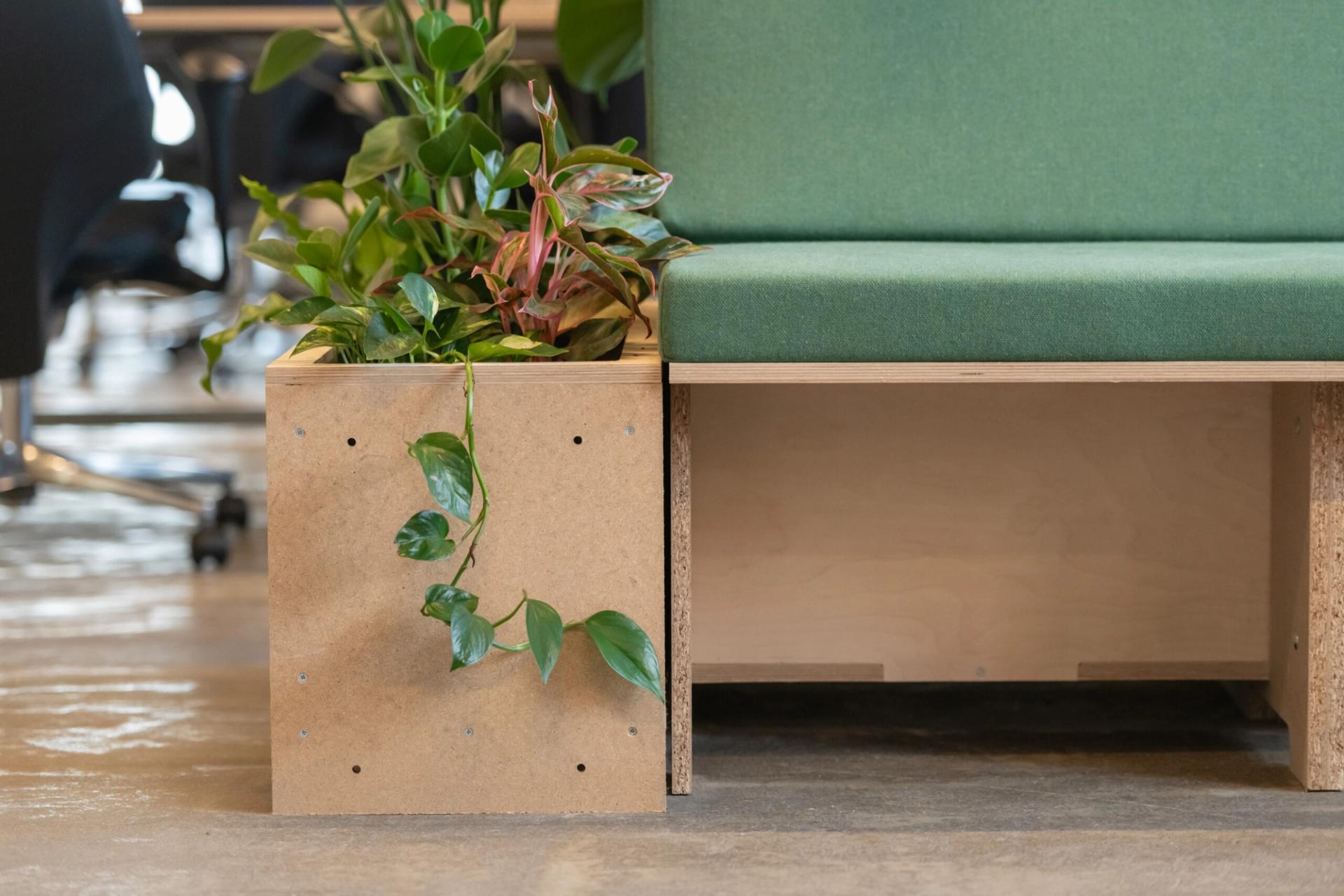 A close-up of a modern bench with a green cushion and an attached wooden planter box filled with leafy plants, set on a concrete floor in a Manchester office space by Sustainable Ventures.