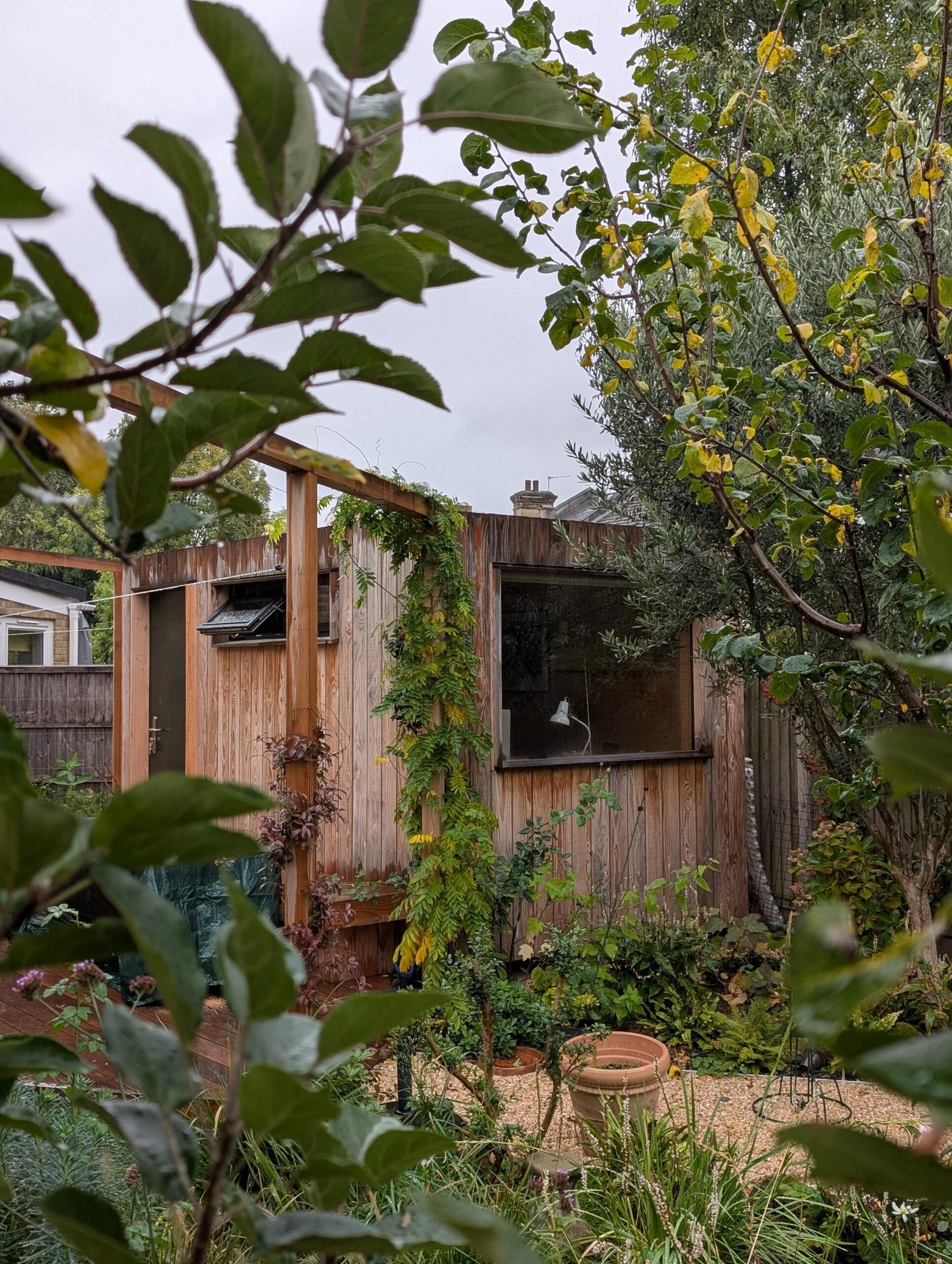 A small U-Build wooden shed with large windows sits amidst lush green plants and trees in a garden, partially obscured by leafy branches in the foreground. The scene looks natural and slightly overgrown.