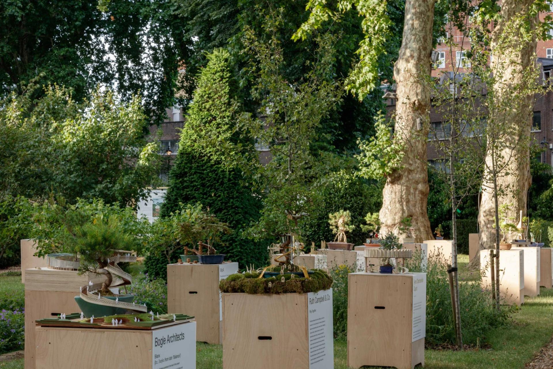 Wooden boxes with miniature trees and plants, including beautifully crafted Bonsai trees, sit scattered in a green park with tall trees and shrubs in the background, and buildings partly visible behind the foliage.