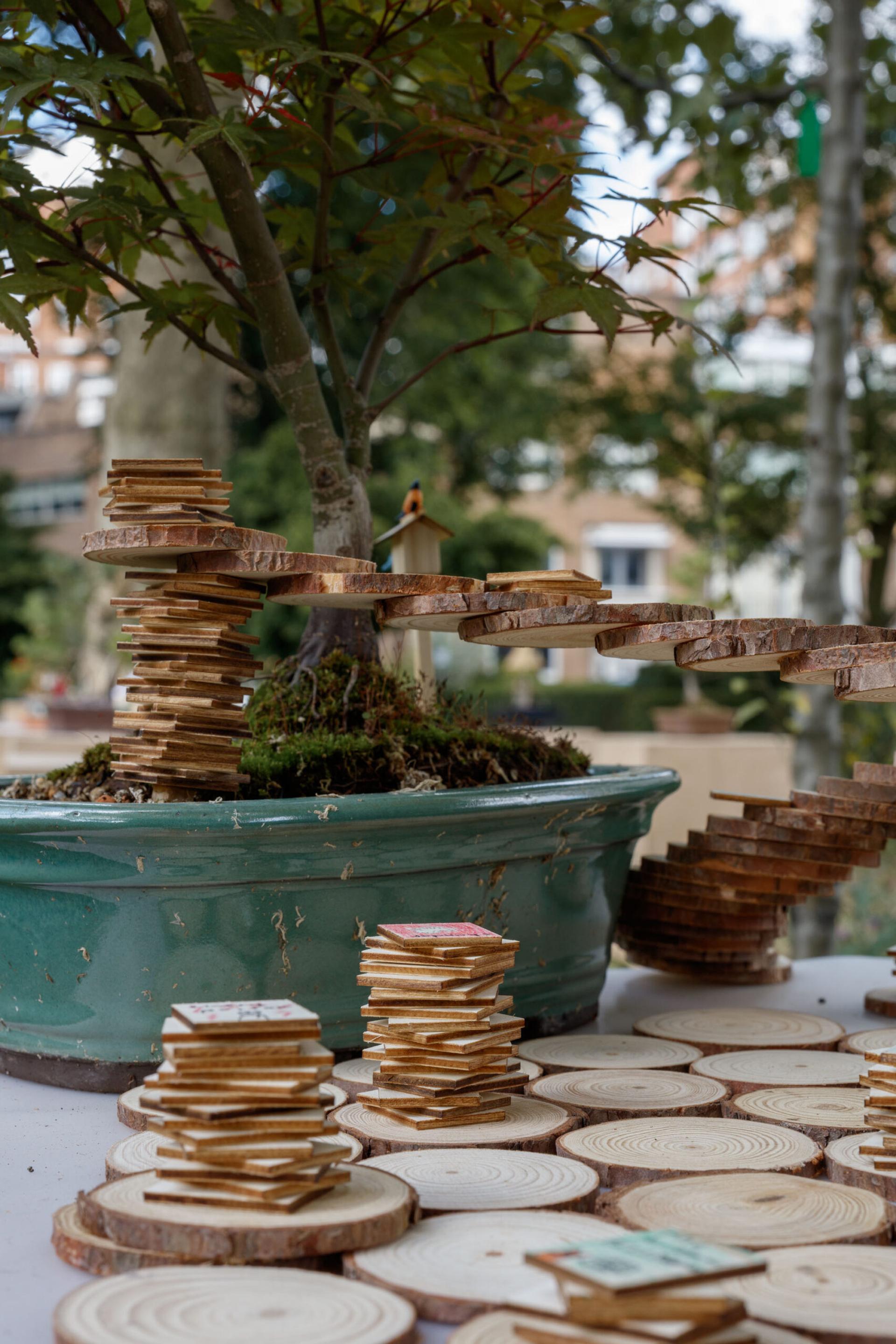 Stacked wooden discs create bridges and towers around a bonsai tree in a green pot, evoking the artistic spirit of a Bonsai Exhibition. More discs are scattered on the table, with blurred greenery forming the background.