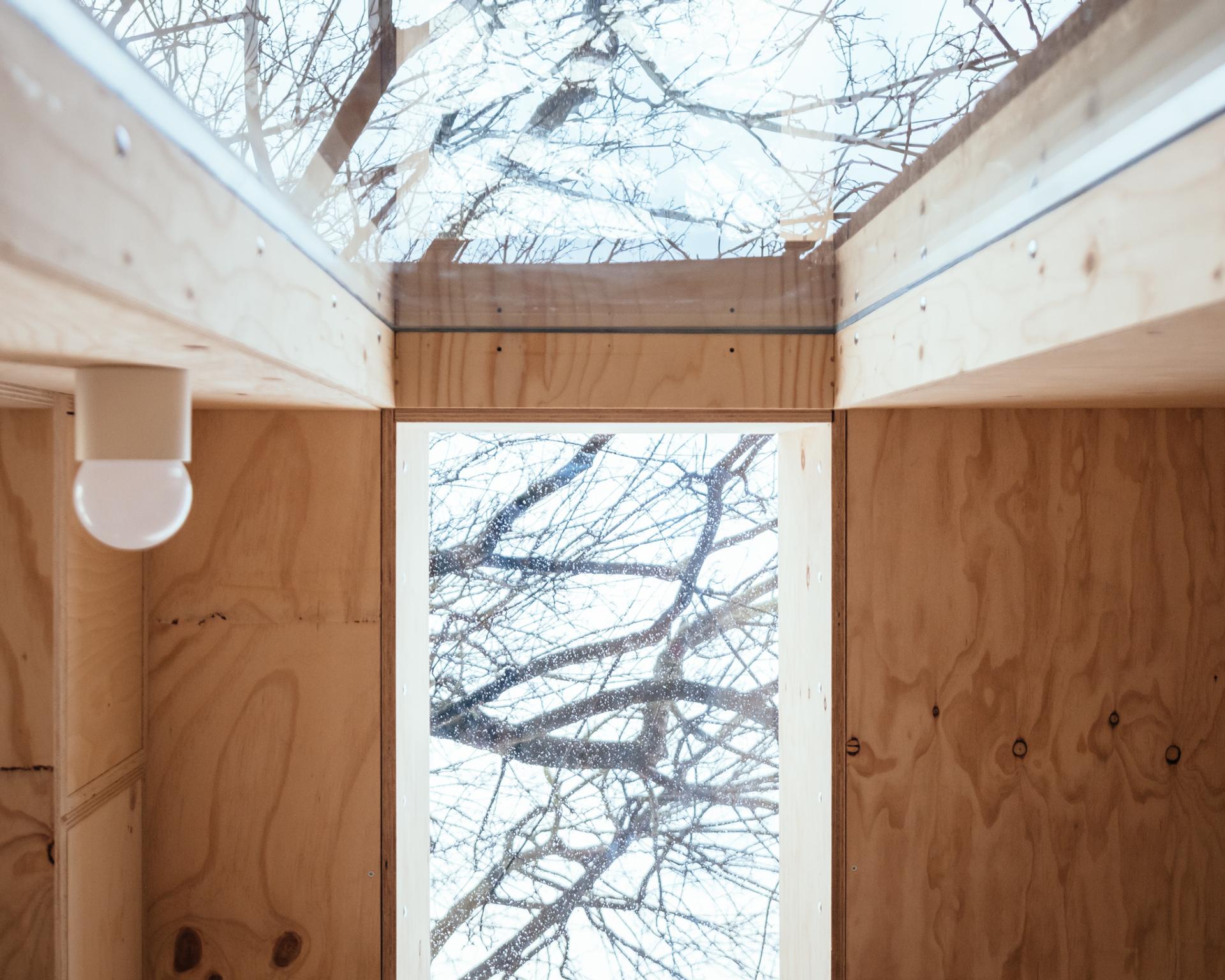 View from inside a small, sustainably sourced wooden structure with a clear ceiling, showing tree branches and sky reflected above; natural light brightens the interior, and a single lightbulb is mounted on the left wall.