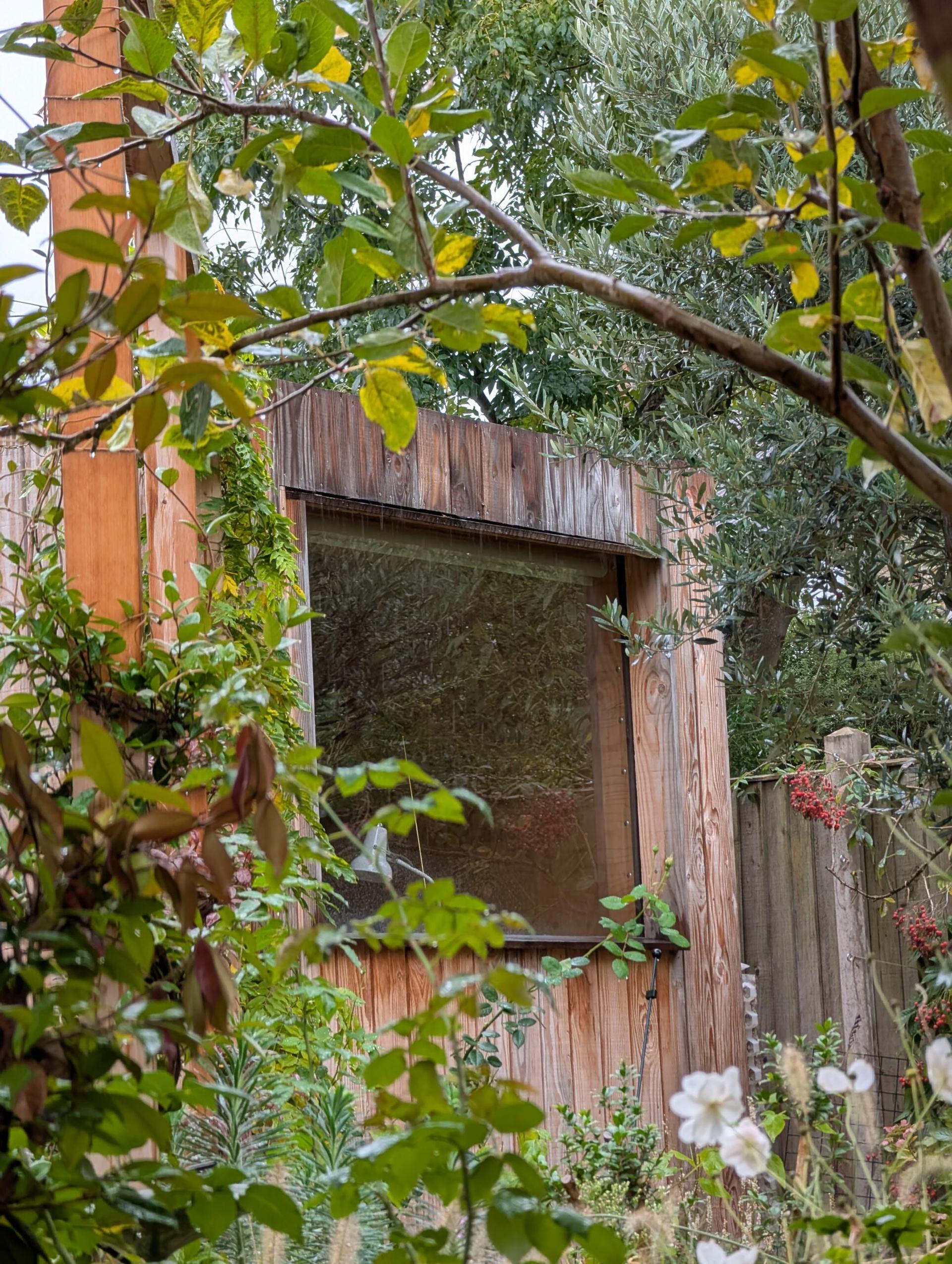 A weathered wooden U-Build shed with a large window is surrounded by lush green plants and branches, with white flowers in the foreground and trees in the background.