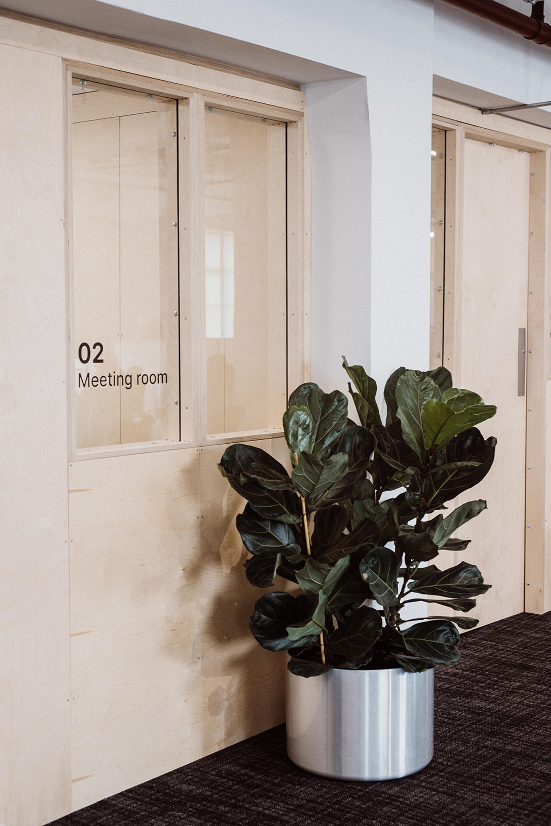A large potted plant sits on a dark carpeted floor in front of a wooden door labelled 02 Meeting Room with glass windows, highlighting the modern office corridor’s sustainable design and timber construction elements.