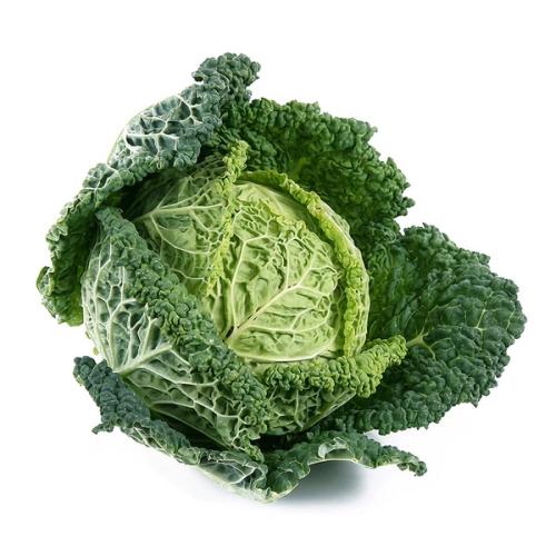 Savoy Cabbage