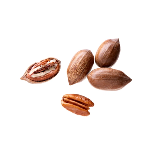 Pecan