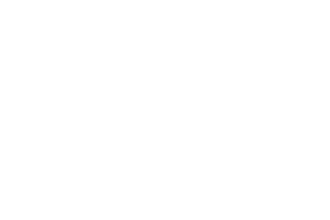 LiuGong
