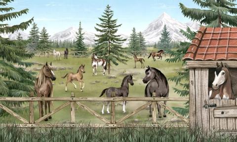 Horses and foals in a mountain paddock, with pines and an open stable door.