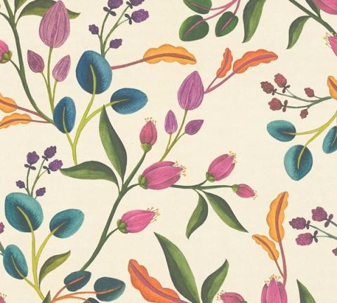 Cream Tulipa wallpaper