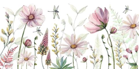 Large cosmos flowers and dragonflies drawn in soft pinks and greens against white. Elegant and botanical, it grows up well from nursery to older child's room.